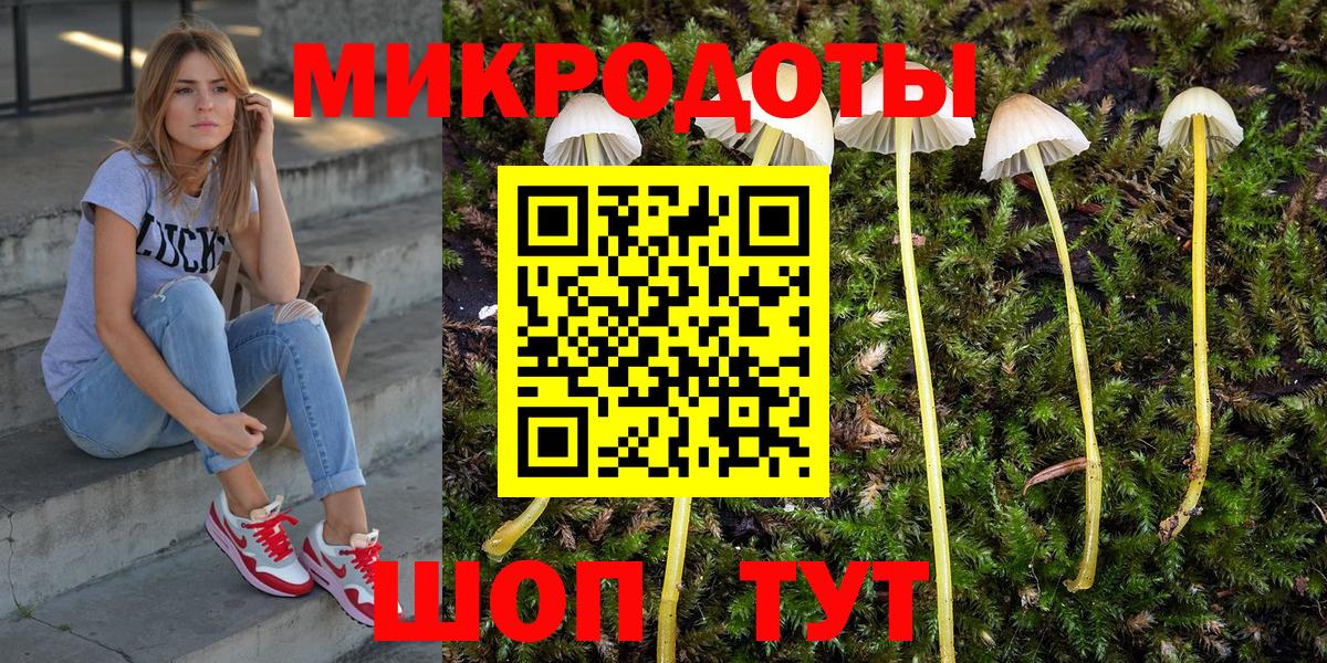 купить наркотики цена  Вход с VPN  Тавда  Галлюциногенные грибы Cubensis 
